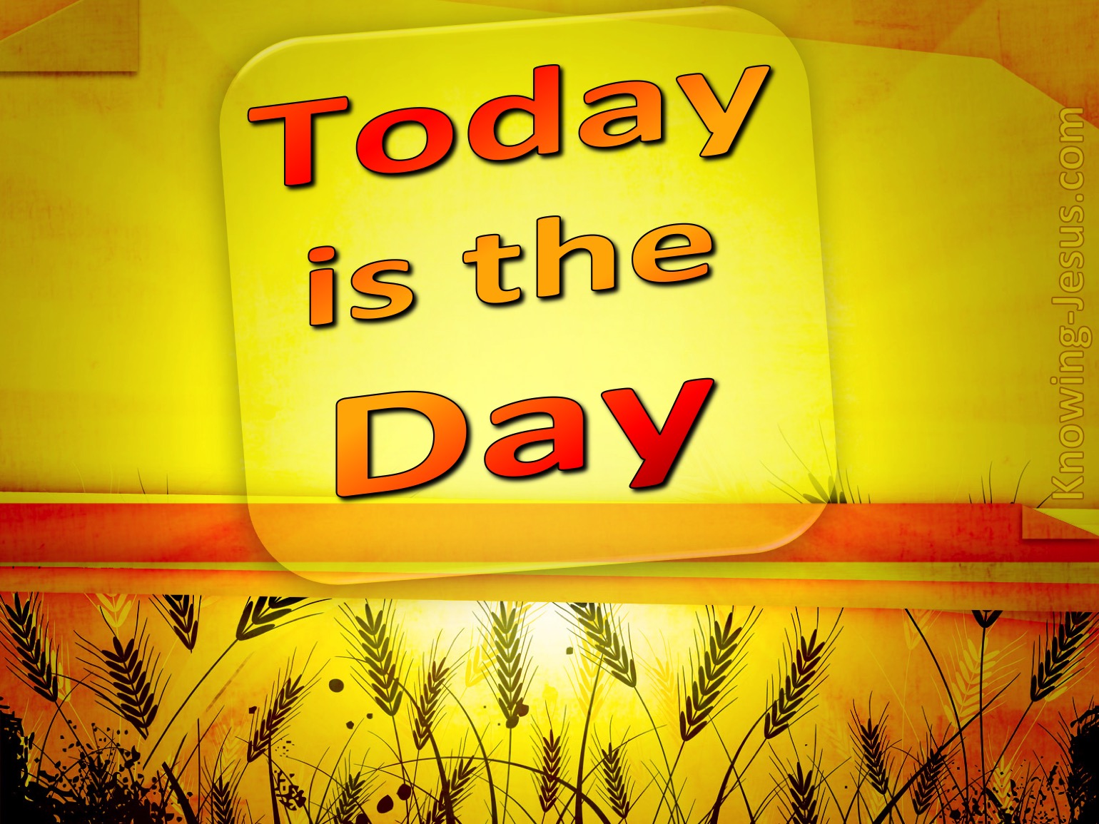 today-is-the-day